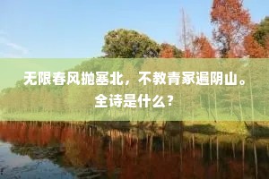 无限春风抛塞北，不教青冢遍阴山。全诗是什么？