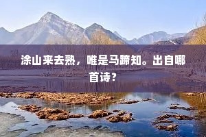 涂山来去熟，唯是马蹄知。出自哪首诗？