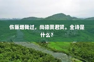 伤廉增我过，尚德贵君贤。全诗是什么？