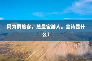 同为羁旅客，总是宦游人。全诗是什么？