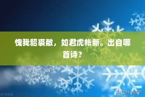 愧我貂裘敝，如君虎帐新。出自哪首诗？