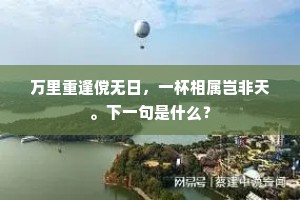 万里重逢傥无日，一杯相属岂非天。下一句是什么？