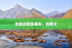 怎奈光阴苦暮年。的释义