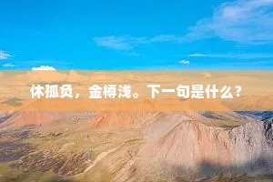 休孤负，金樽浅。下一句是什么？