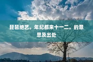 琵琶绝艺。年纪都来十一二。的意思及出处