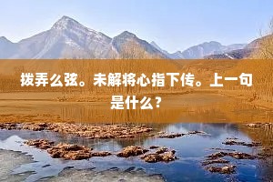 拨弄么弦。未解将心指下传。上一句是什么？