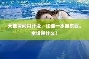 天地两间同汗漫，江淮一水自东西。全诗是什么？