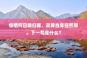 惊栖何日能归雁，灵异当年任照犀。下一句是什么？
