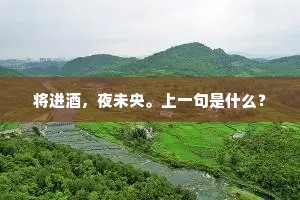 将进酒，夜未央。上一句是什么？