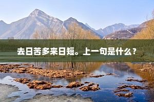去日苦多来日短。上一句是什么？