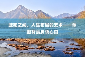 疏密之间，人生布局的艺术——董卿智慧启悟心田