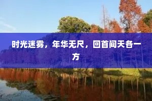 时光迷雾，年华无尺，回首间天各一方