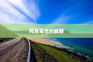 何其毒也的解释