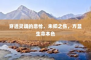 穿透灵魂的悲怆，未抑之伤，方显生命本色