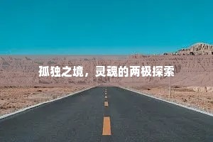 孤独之境，灵魂的两极探索
