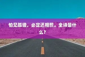 怕见孤镫，必定还相照。全诗是什么？