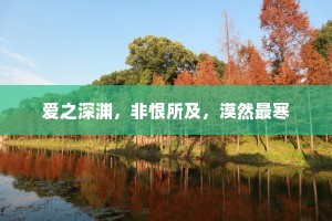 爱之深渊，非恨所及，漠然最寒
