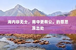 海内非无士，南中更有公。的意思及出处