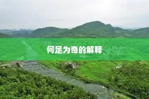 何足为奇的解释