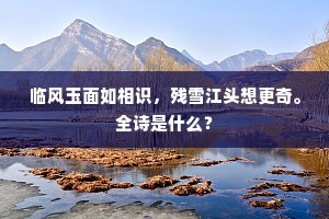 临风玉面如相识，残雪江头想更奇。全诗是什么？