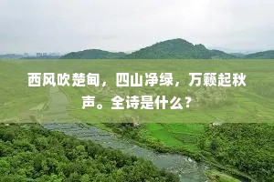 西风吹楚甸，四山净绿，万籁起秋声。全诗是什么？