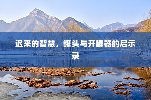 迟来的智慧，罐头与开罐器的启示录