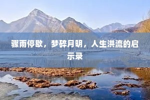 骤雨停歇，梦碎月明，人生洪流的启示录