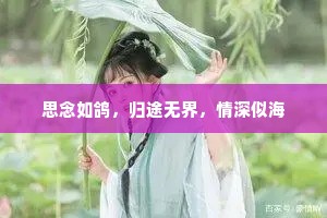 思念如鸽，归途无界，情深似海