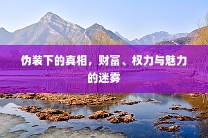 伪装下的真相，财富、权力与魅力的迷雾