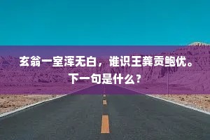 玄翁一室浑无白，谁识王龚贡鲍优。下一句是什么？