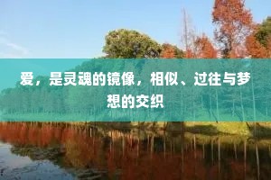爱，是灵魂的镜像，相似、过往与梦想的交织