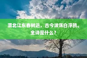 渭北江东春树远，古今波荡白浮鸥。全诗是什么？