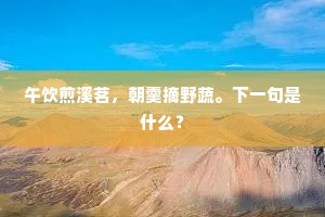 午饮煎溪茗，朝羹摘野蔬。下一句是什么？