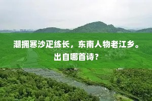 潮拥寒沙疋练长，东南人物老江乡。出自哪首诗？