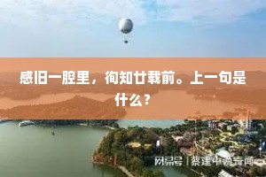 感旧一腔里，徇知廿载前。上一句是什么？