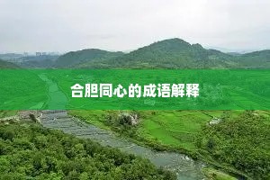 合胆同心的成语解释