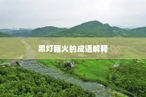 黑灯瞎火的成语解释