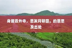 身居霞外寺，思发月明田。的意思及出处