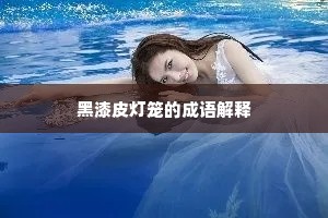 黑漆皮灯笼的成语解释