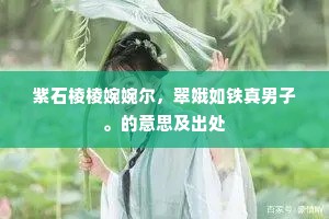 紫石棱棱婉婉尔，翠娥如铁真男子。的意思及出处