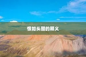 恨如头醋的释义