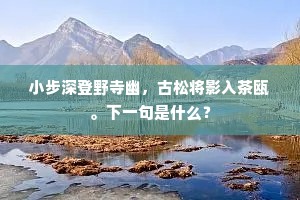 小步深登野寺幽，古松将影入茶瓯。下一句是什么？