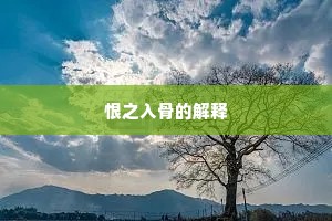 恨之入骨的解释