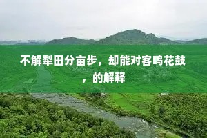 不解犁田分亩步，却能对客鸣花鼓，的解释