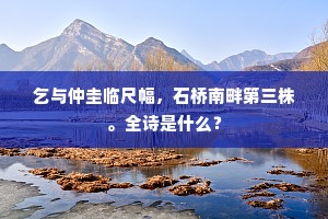 乞与仲圭临尺幅，石桥南畔第三株。全诗是什么？