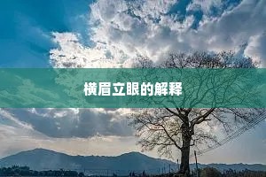 横眉立眼的解释
