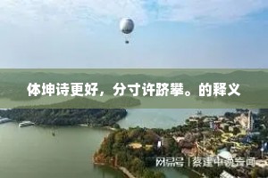 体坤诗更好，分寸许跻攀。的释义