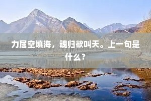 力屈空填海，魂归欲叫天。上一句是什么？