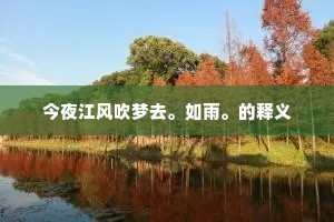 今夜江风吹梦去。如雨。的释义