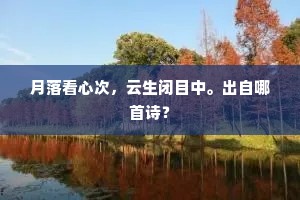 月落看心次，云生闭目中。出自哪首诗？